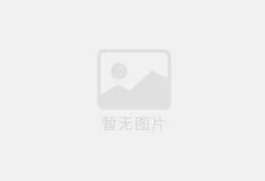 PASF聚芳砜板棒